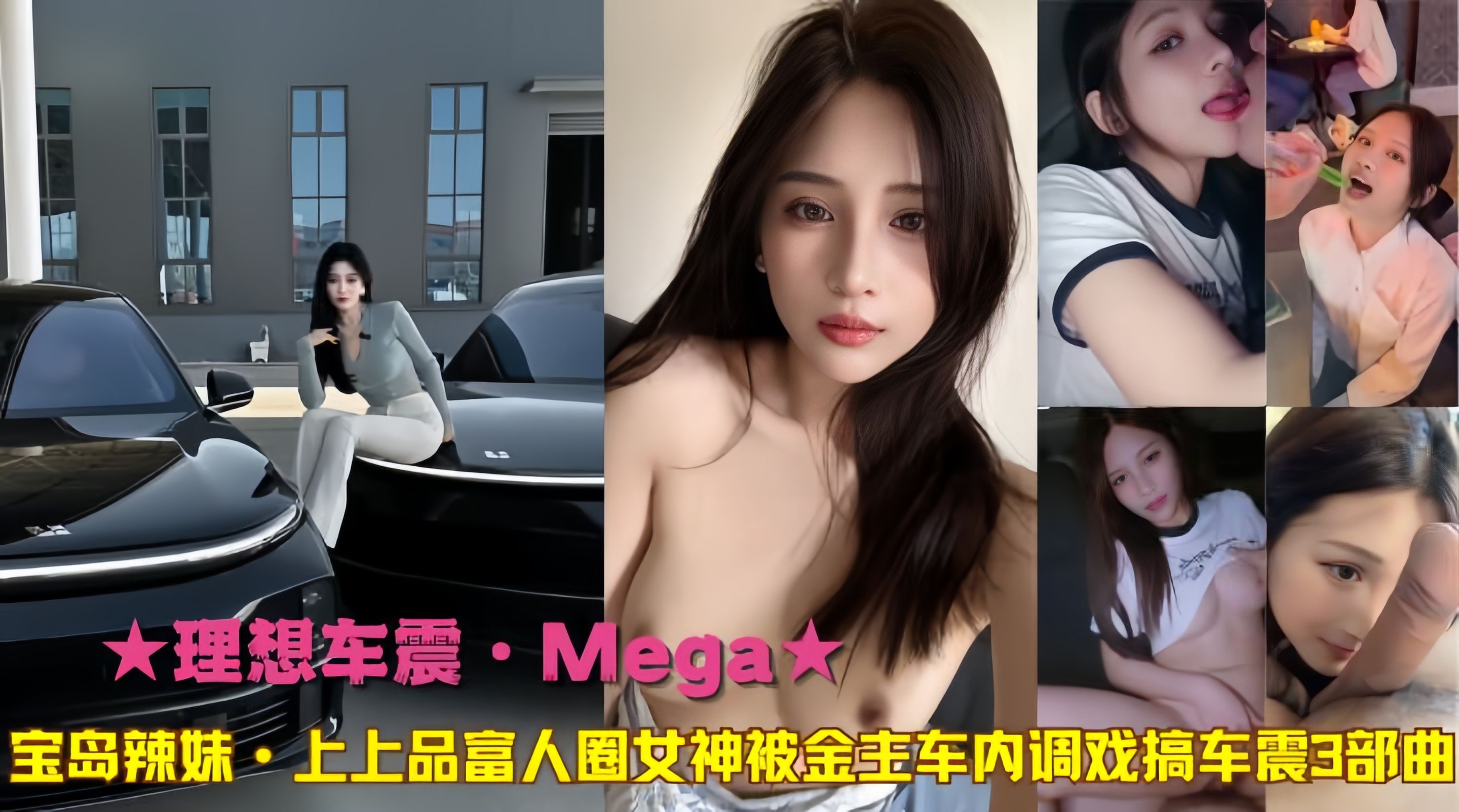 理想车震Mega宝岛辣妹上上品富人圈女神被金主车内调戏搞车震3部曲